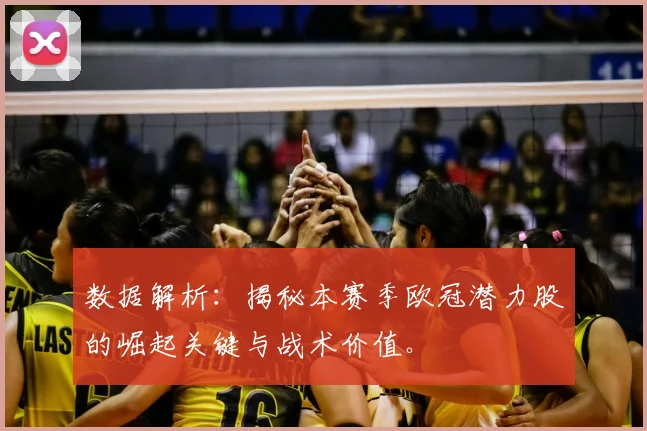 数据解析：揭秘本赛季欧冠潜力股的崛起关键与战术价值。