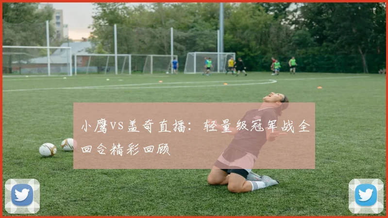 小鹰vs盖奇直播：轻量级冠军战全回合精彩回顾