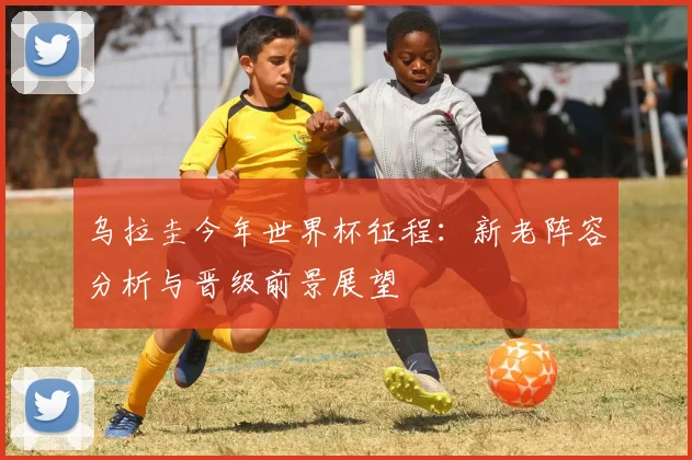 乌拉圭今年世界杯征程：新老阵容分析与晋级前景展望