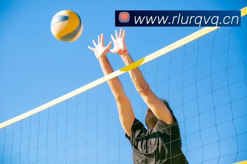 开云官方版入口APP 封面图